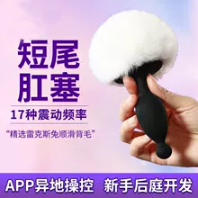 Anal plug punishment for couples Sex toys Electric anal sex sm deviant props Anal dilator rear court tail